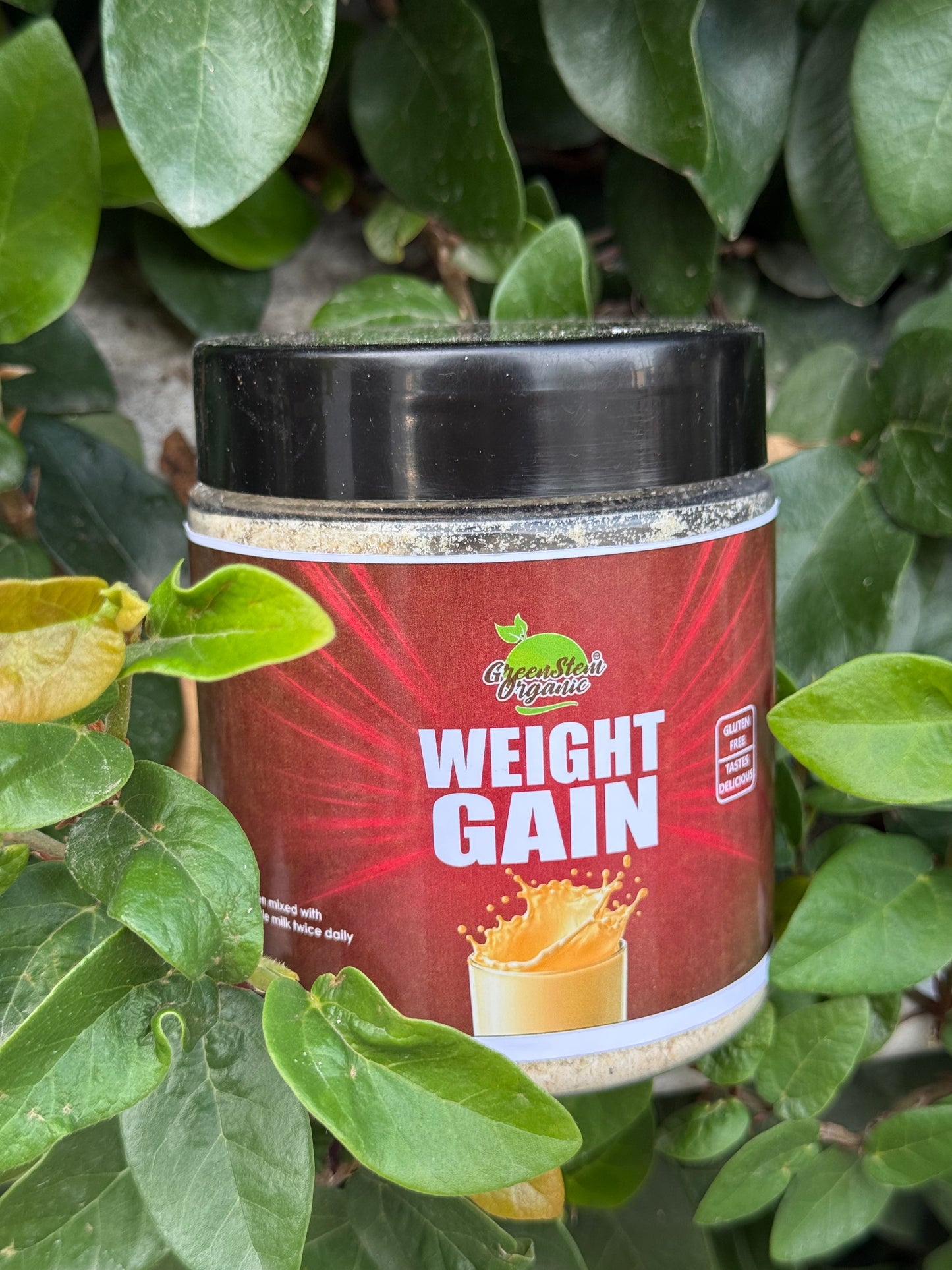 Weight Gain Remedy